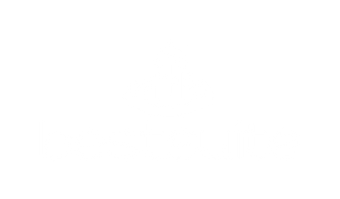 bestsuite logo with stars rising from a circle