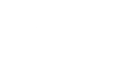 MSP Titans logo with stylized profile and lightning bolt