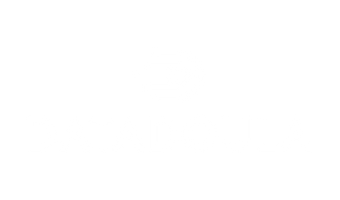 Datadoula logo with circuit-style D icon