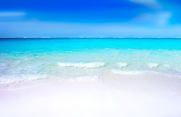 beach-1743617.jpg