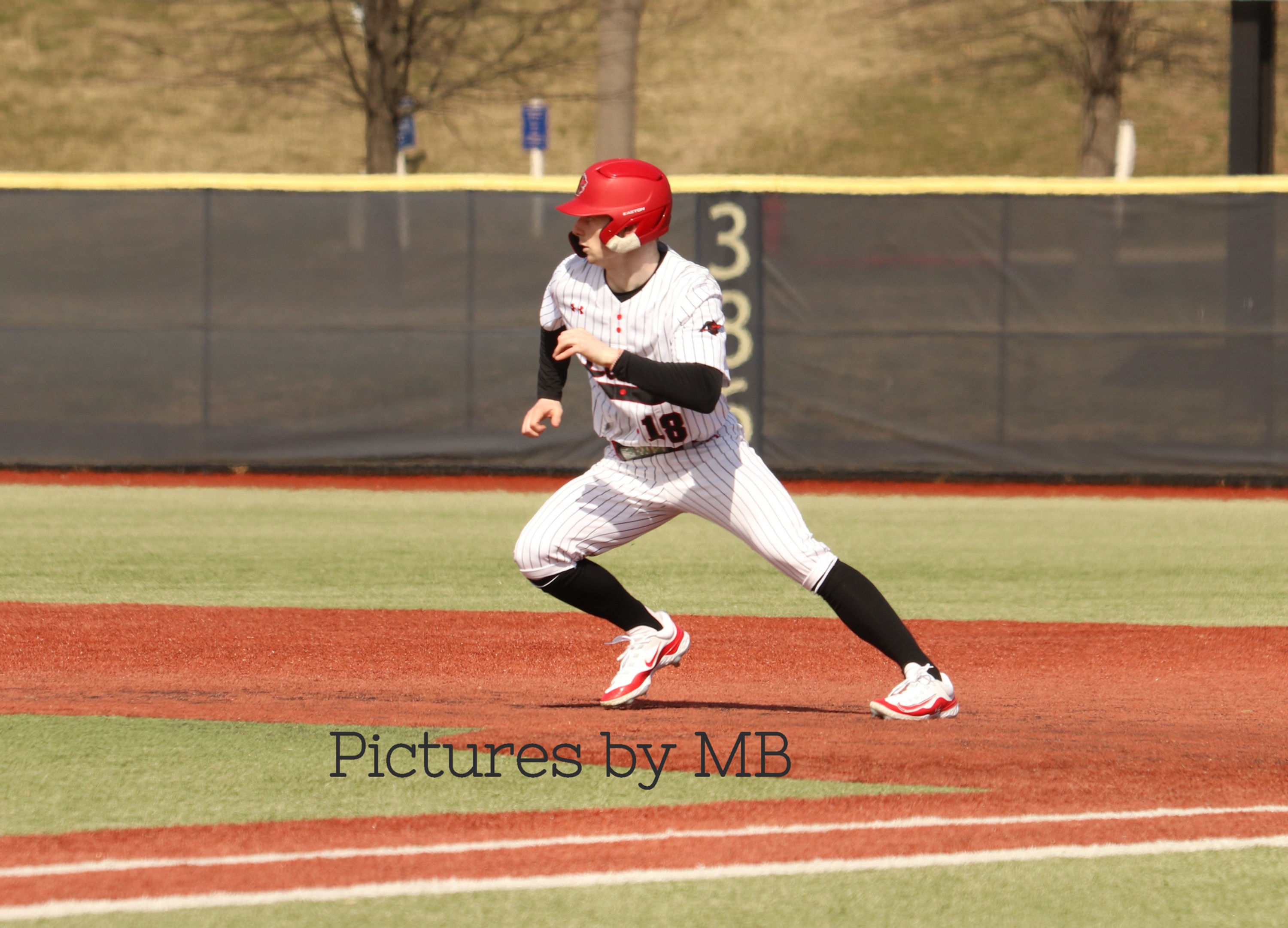 2024-02-25 Baseball Albright College vs Elmira