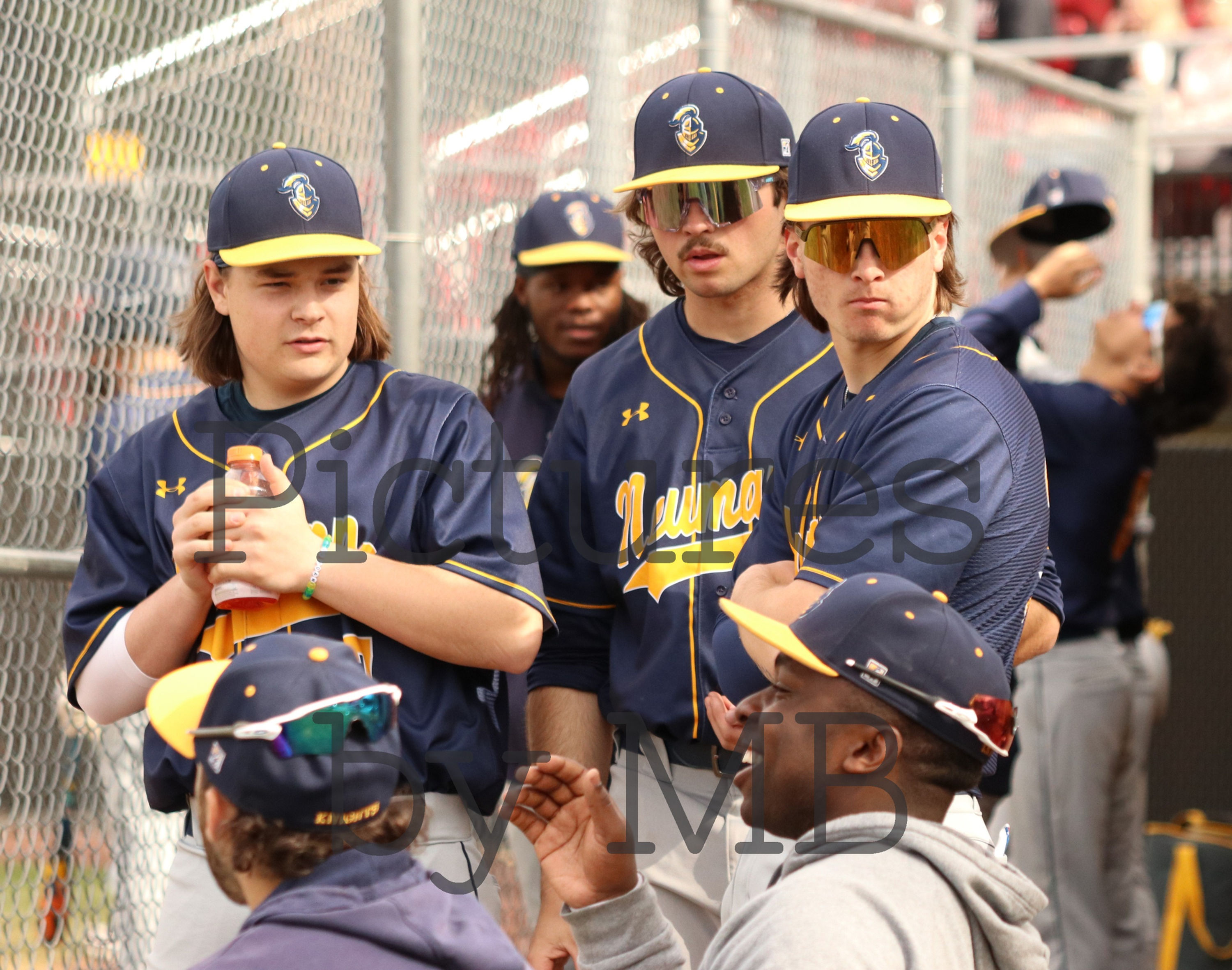 Neumann University Baseball 