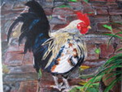 "Florida Rooster"
