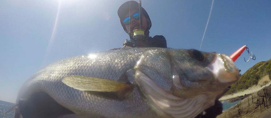 潮止まりで釣れないわけ