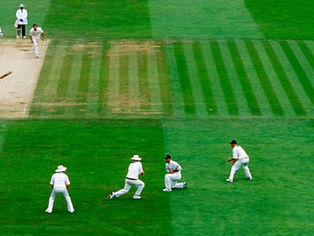 012 - Dear Test Cricket