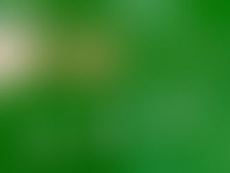 012 - Dear Test Cricket