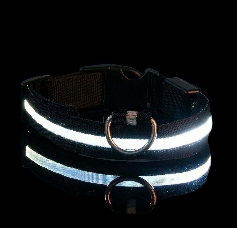 Thumbnail: HaloGuard™: Hi-Vis 360 LED Collar.