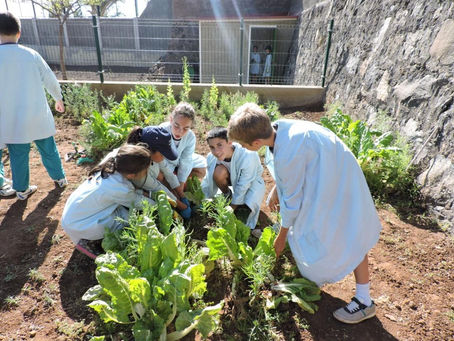 Nuestro pequeño huerto