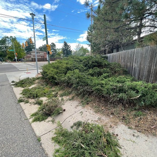 Cleanup in progess