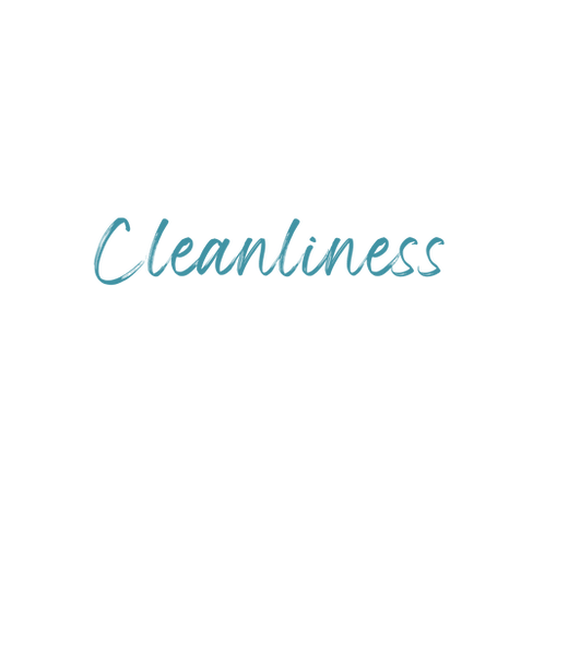 Magnolia Breeze, best rated cleaning services in Lakewood Ranch, Sarasota and Bradenton - Florida