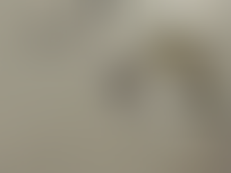 ❦ロゴ作成メイキング動画❦