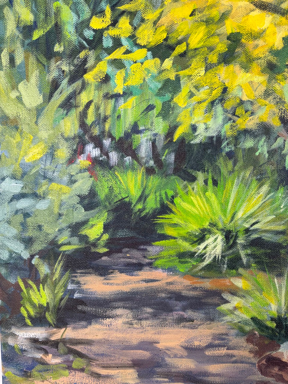 Thumbnail: Sunlight Path