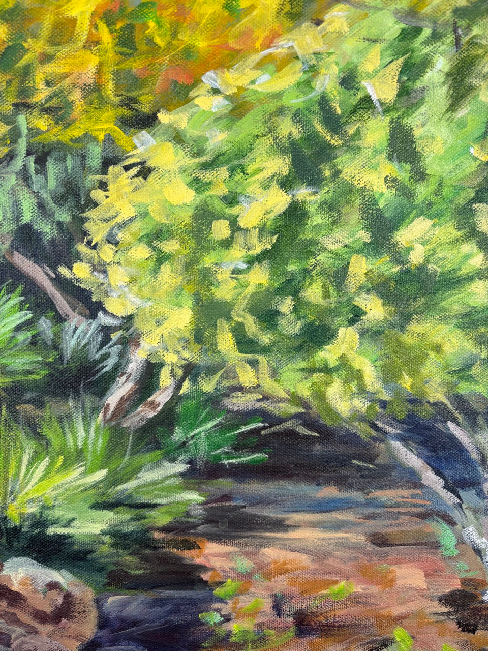 Thumbnail: Sunlight Path