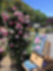 Rose Garden Painting Pic Eden Rose_edited.jpg