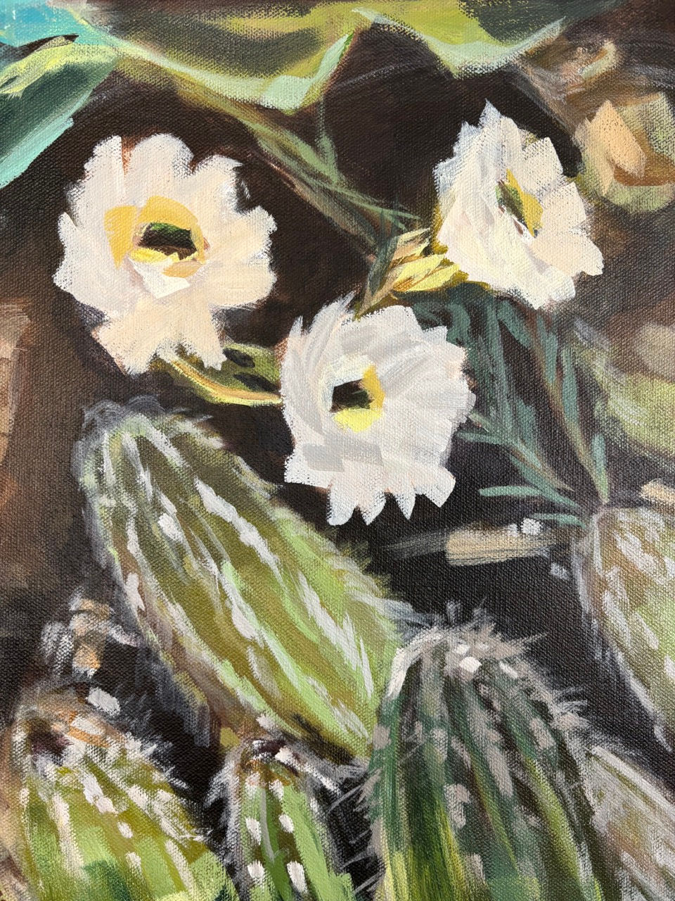 Thumbnail: Cactus Blooms (White)