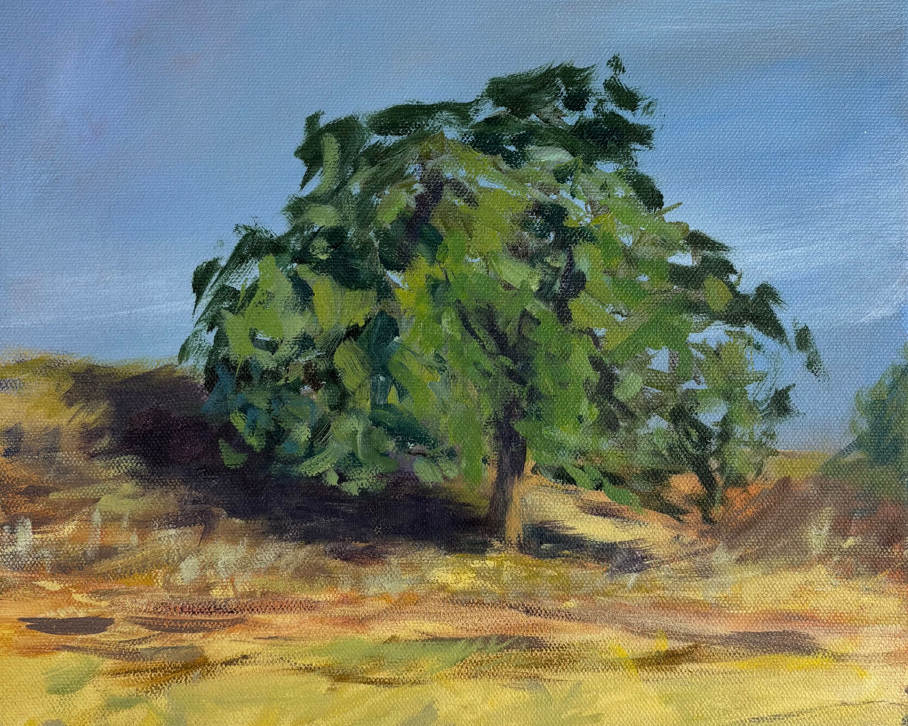Oak Tree Lime Ridge - Print