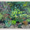 Thumbnail: Butterfly Garden