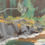 Thumbnail: Majestic Redwoods meet the Eel River