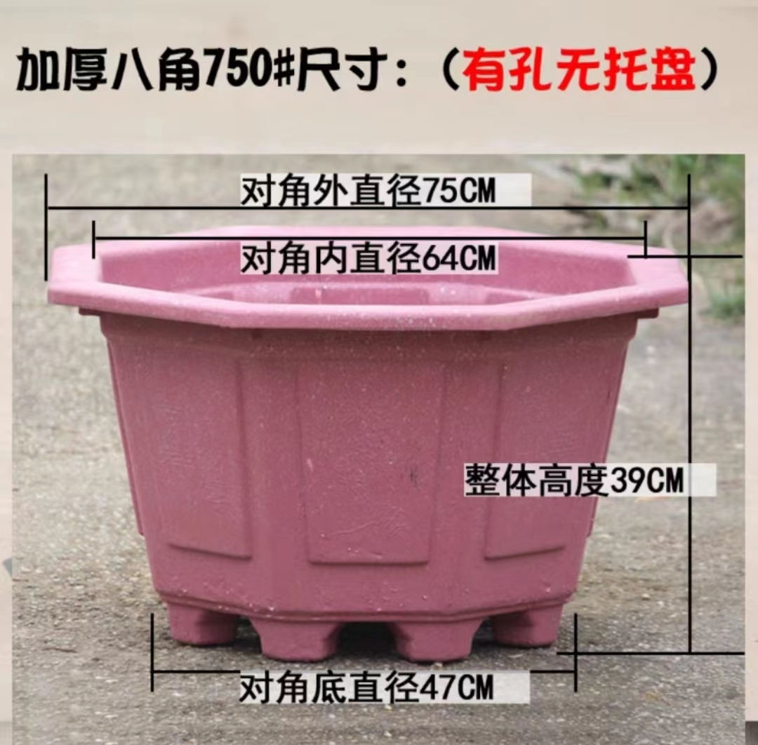 Octagon Flower Pot * A750