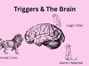 Triggers Explained & Tools to Help