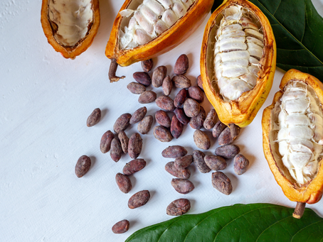 Health Benefits of Cacao