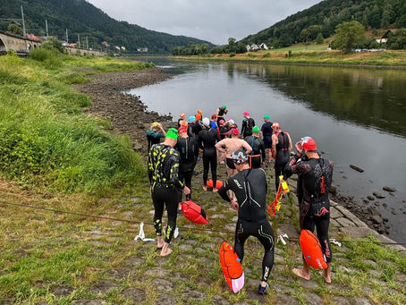 28. Elbeschwimmen in der Sächsischen Schweiz