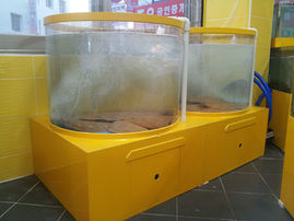 활어수조, 활어수족관, 횟집수족관