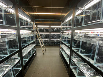 축양장, 아쿠아카페, 수족관, 어항, 수조, 아쿠아시스템