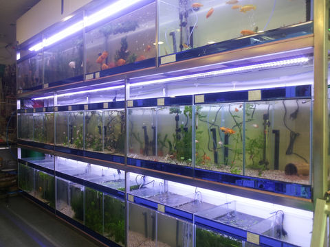 축양장, 아쿠아카페, 수족관, 어항, 수조