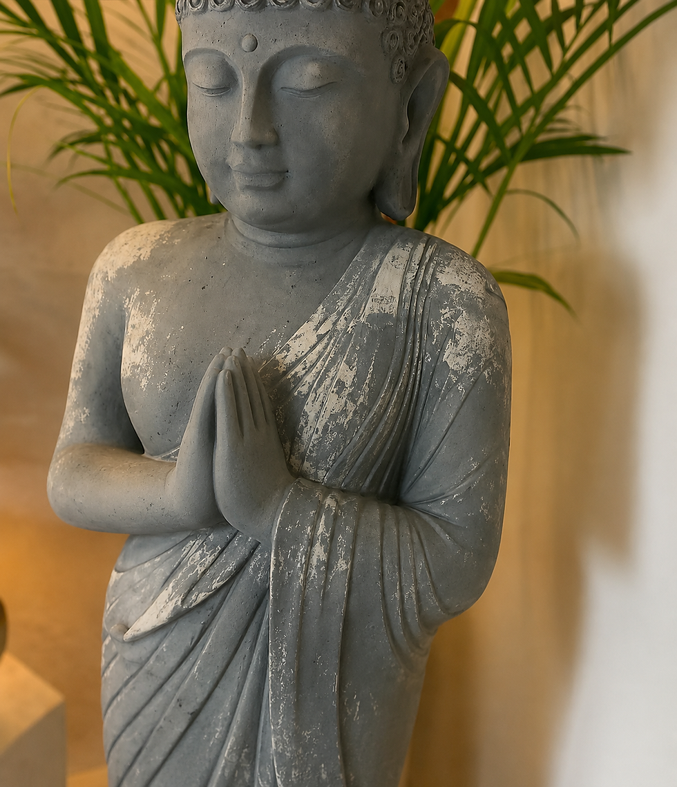 IMG_6244.png