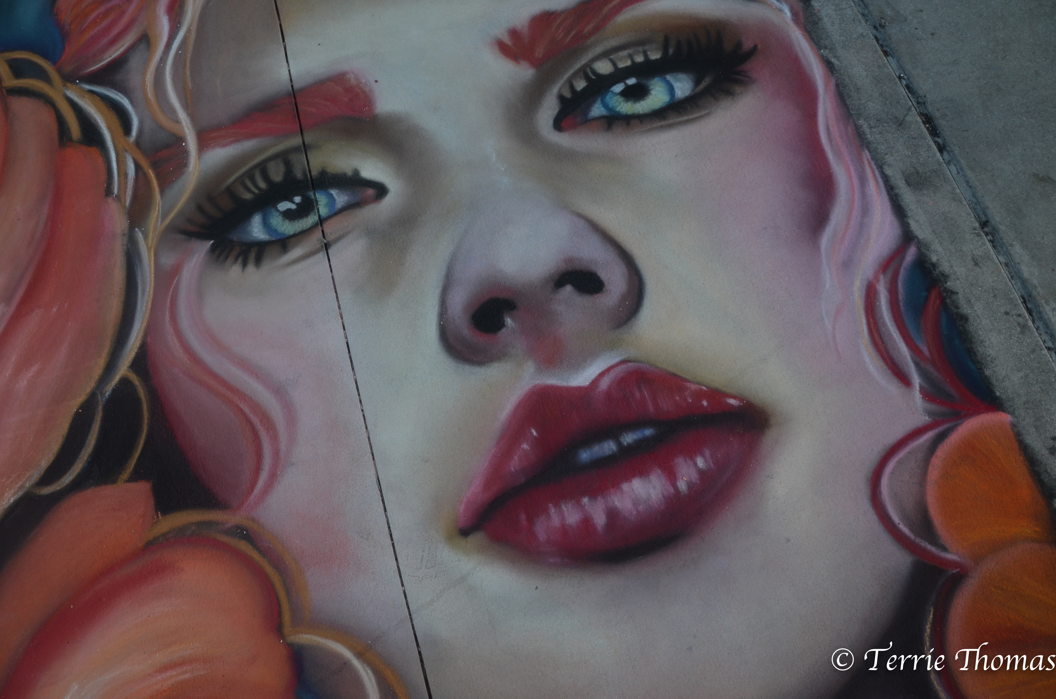 DSC_0781