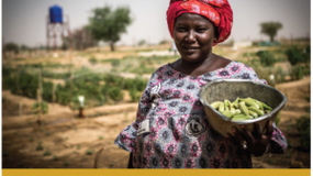 Comprendre les ODD - #2 Faim zéro