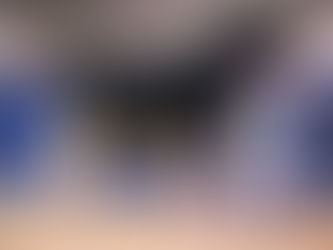 Expo de Trois-Rivières 2021 : Félicitations à nos membres !