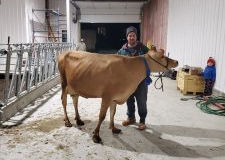 Boréalait, la passion du lait de la production à la transformation