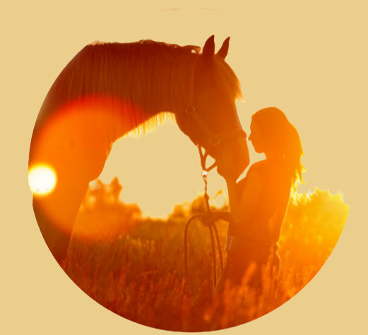 equine assisted psychotherapy, equine assisted psychotherapy near me, EAP, equine assisted therapy, equine assisted counseling, counseling with horses near me