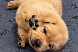 832041193_18097356050329567_864374298982946429_n_edited.png