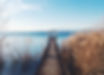 michael-martinelli-mFbrMEVKCkc-unsplash_edited.jpg