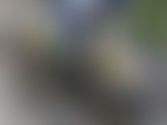 Seewer überrundet in Russland fast das ganze Fahrerfeld