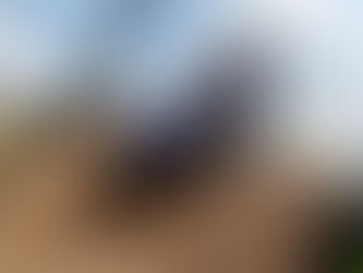 Race Report Deutschland