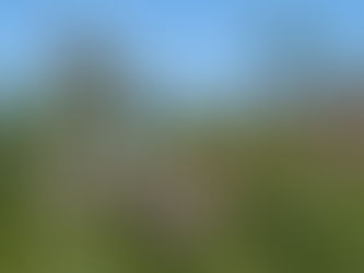 Zeitweise zurück an der Spitze in Schweden