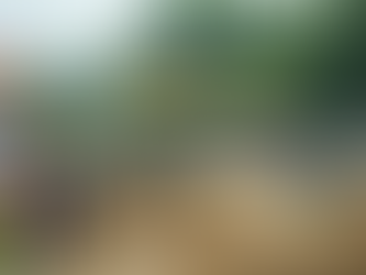 Race Report Italien Mantova