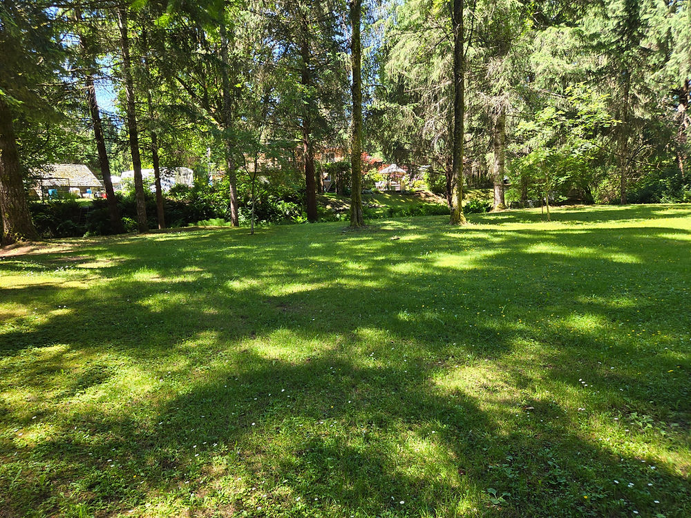 Grassy yard at this home for sale in Black Creek BC.
