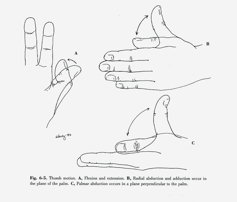 Thumb Movements