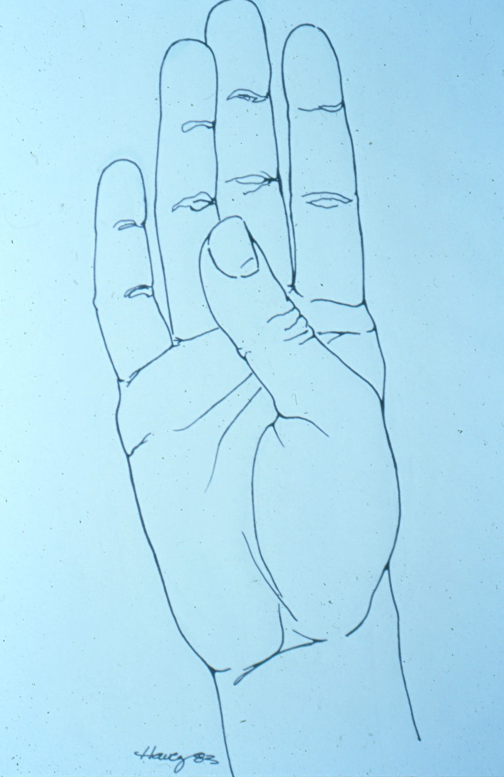 Thumb Movement