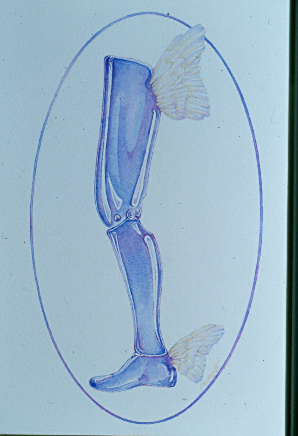 prosthetics & orthotics logo