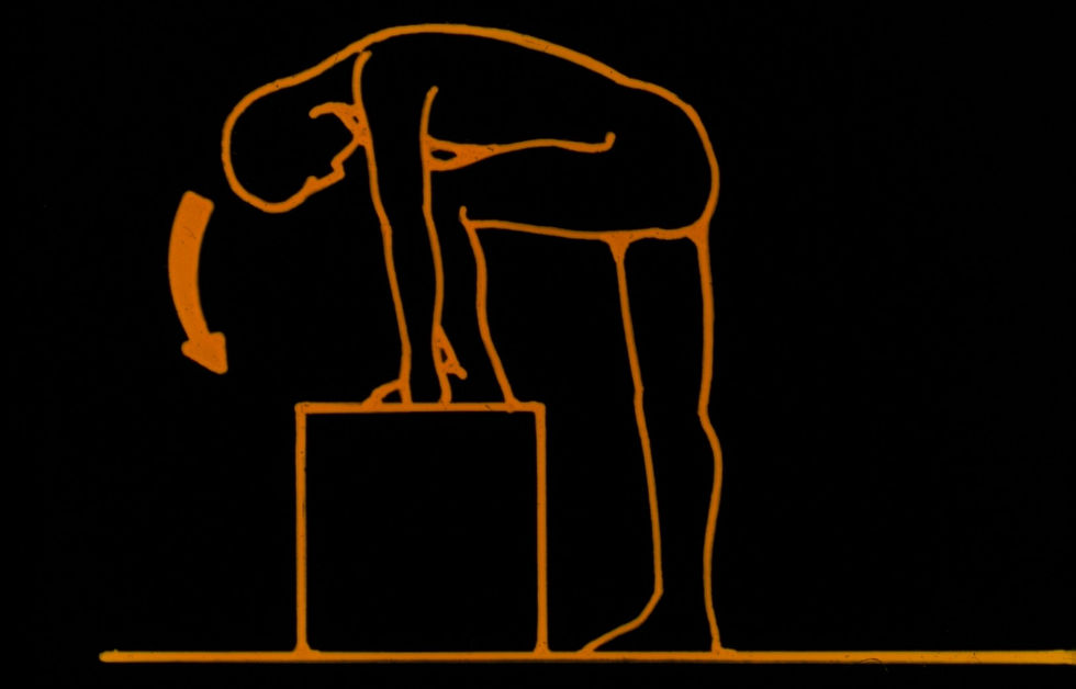Back Exercise