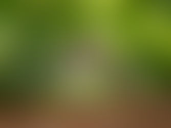 Fighting Malaria: Innovations in Vector Control