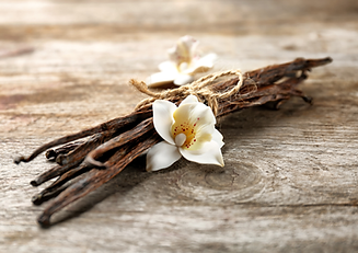 Vanilla pod with vanilla flower used for natural fragrance.