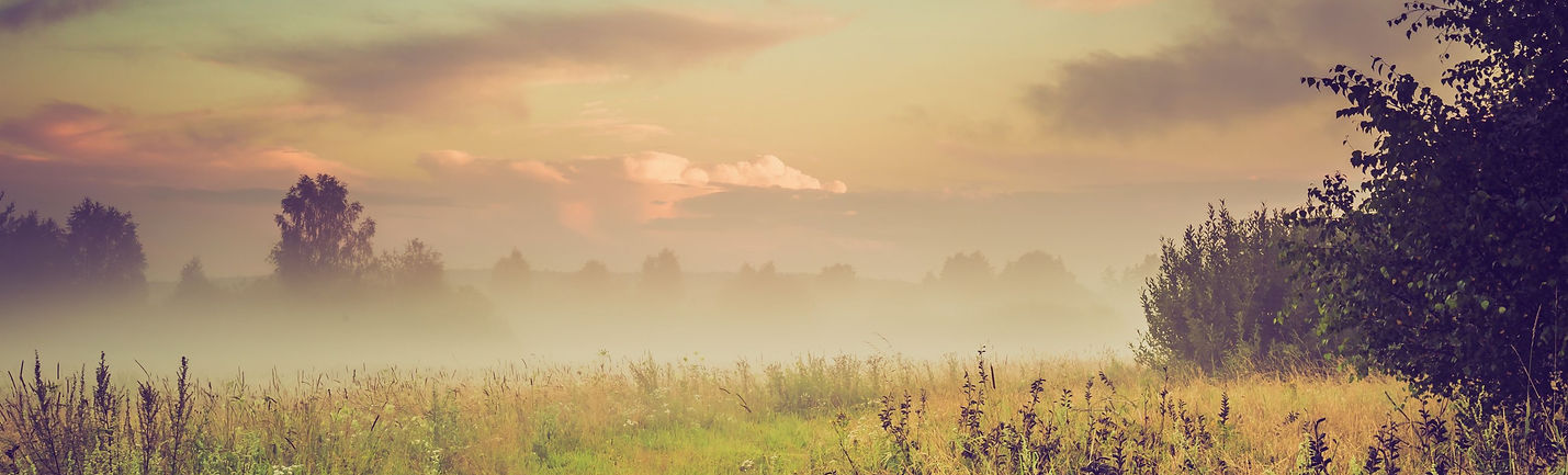 Meadow landscape with soft pink clouds, representing natural beauty