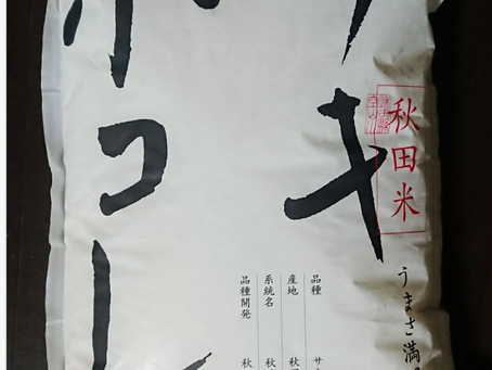 サキホコレ アンバサダーに就任致しました。